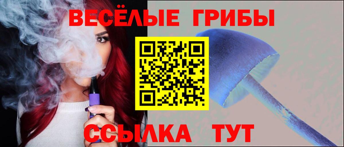 Галлюциногенные грибы GOLDEN TEACHER Сургут